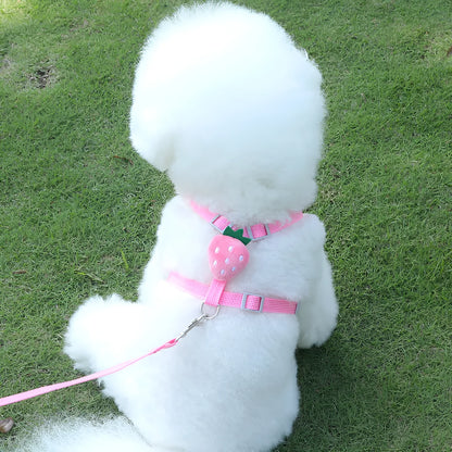 Reflective dog walking chest strap vest for small dogs in avocado, carrot, or strawberry colours