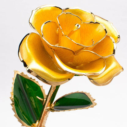 24K gold-plated rose flower in elegant gift box for Valentine's Day
