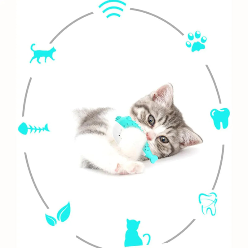 Mint Toys Interactive Cat Teaser Toy: A 12.2cm Silicone Fish for Chewing, Grabbing, and Dental Play to Redirect Scratching Behaviour