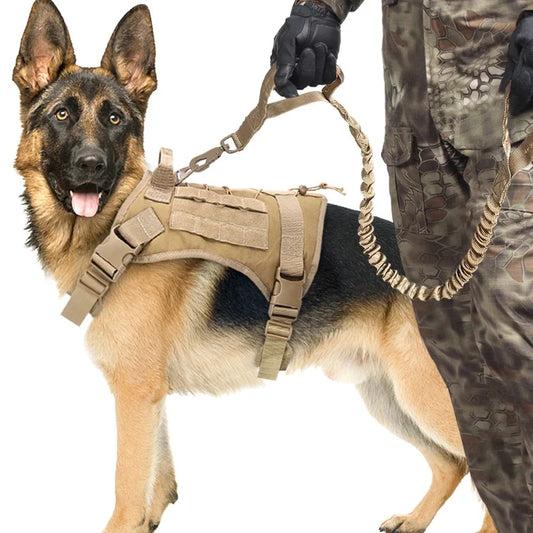 Retractable outdoor dog lead with elastic buffer for safe and comfortable walks