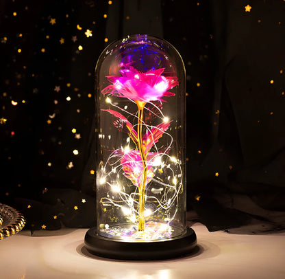 Little Prince Rose Glass Cover with 20cm diameter dome protecting plastic flower arrangement