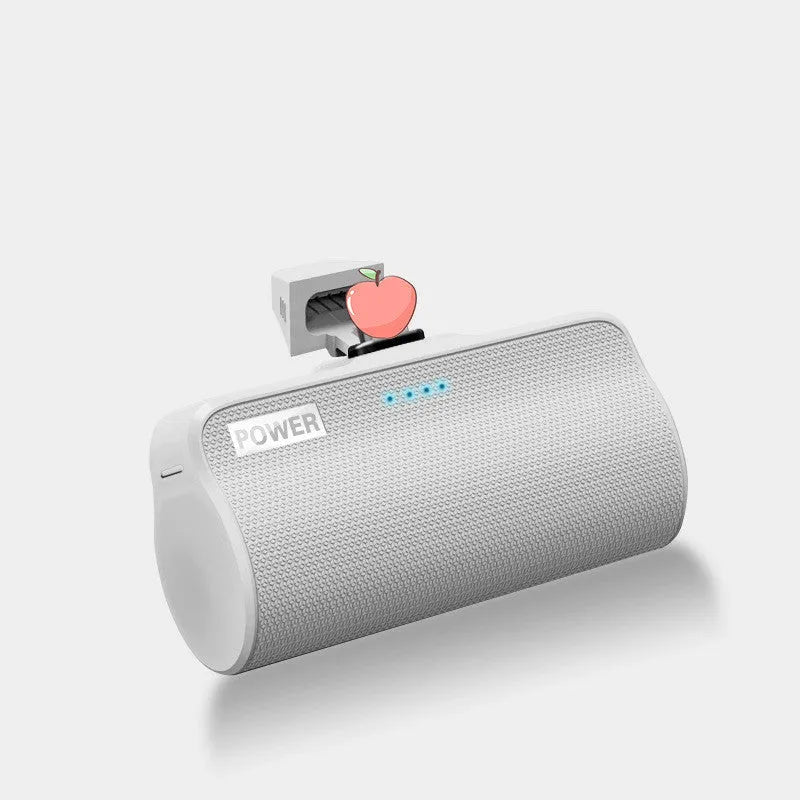 Universal 3000mAh power bank in cylindrical aluminium shell with ABS case for Android Apple Type-C phones