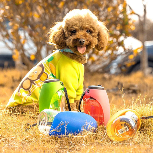 Portable pet water bottle with drinking bowl for small and large dogs in various colors