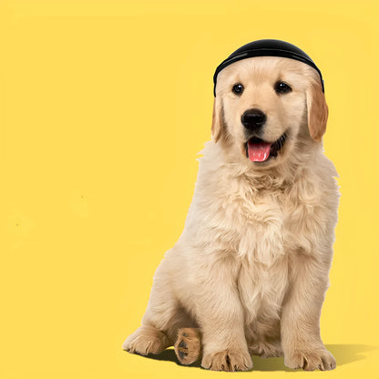 Small S size plastic pet helmet in pink, black, yellow, or green colours for motorcycle safety