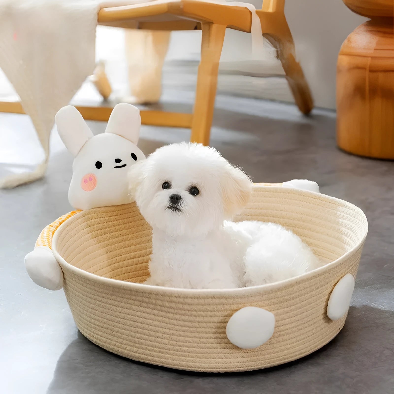 Woven cotton rope basket cat bed with integrated scratching edges for cats and small dogs.