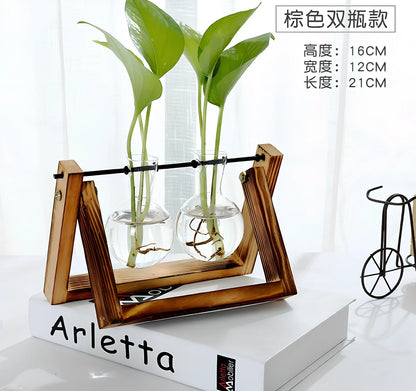 Glass tabletop plant with LED lighting in tempered glass enclosure measuring 15cm diameter