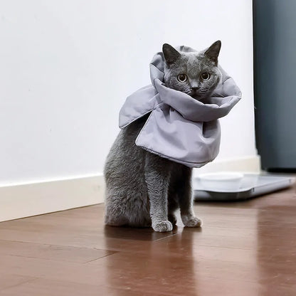 Soft adjustable Elizabethan recovery collar for a cat or small dog in blue, grey, green, or pink.