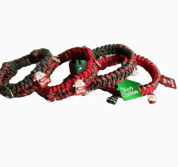 Green rope dog leash with P chain and a metal release buckle, held in a person's hand.