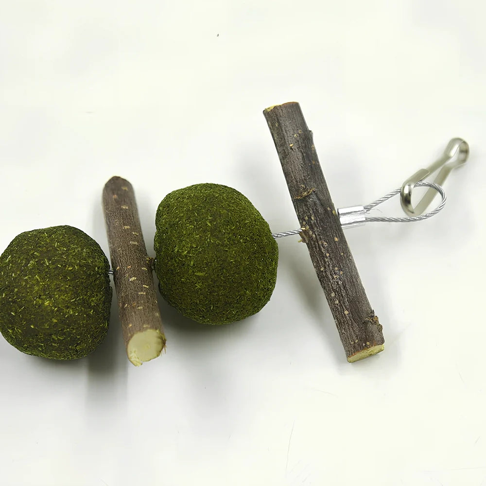 Natural dental chew set with grass balls and apple branches for small pet tooth care