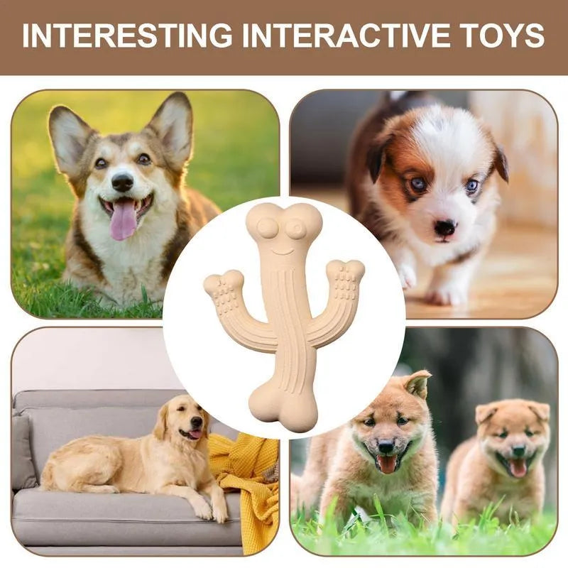Beige, blue or purple cactus-shaped dog chew toy made from bamboo fibre and rubber on a white background.