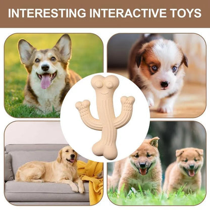 Beige, blue or purple cactus-shaped dog chew toy made from bamboo fibre and rubber on a white background.