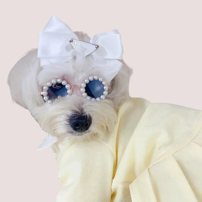 Pearl-trimmed round sunglasses for cats and dogs in five colour options