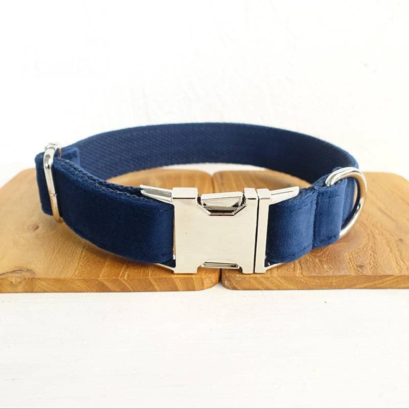 Dark blue velvet pet collar with optional bow tie and leash