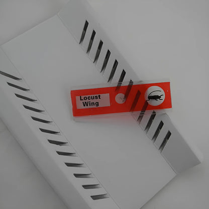 Four colour-coded boxes containing plastic microscope slides with plant rhizome and animal specimen samples for children