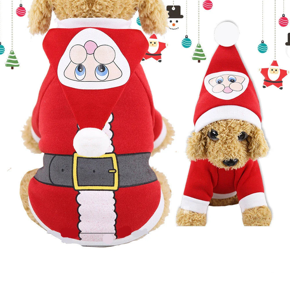 Stylish pet clothing collection featuring a range of cozy and fashionable outfits for dogs and cats