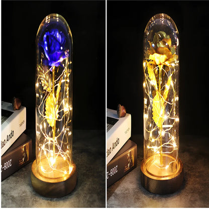 Little Prince Rose Glass Cover with 20cm diameter dome protecting plastic flower arrangement
