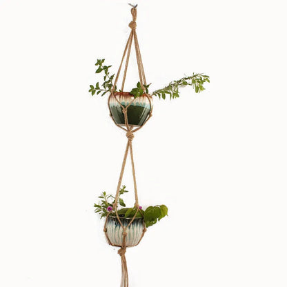 Galvanised steel wire plant basket with open grid, holding a green potted succulent on a wooden table.