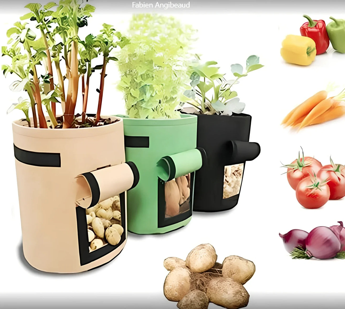 Black non-woven plant growth bag with side window and handles for potato gardening, breathable fabric, large size shown