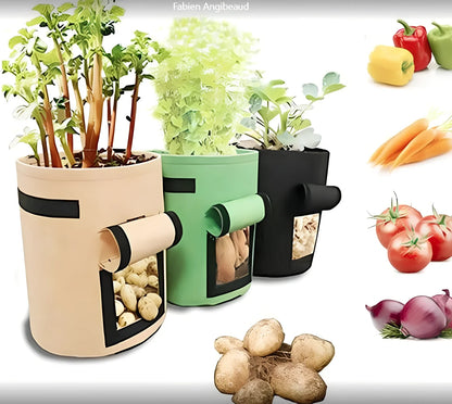 Black non-woven plant growth bag with side window and handles for potato gardening, breathable fabric, large size shown