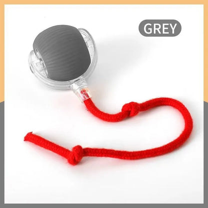 Silicone rolling ball cat toy showing red, green, and grey colour options with self-hi motion mechanism