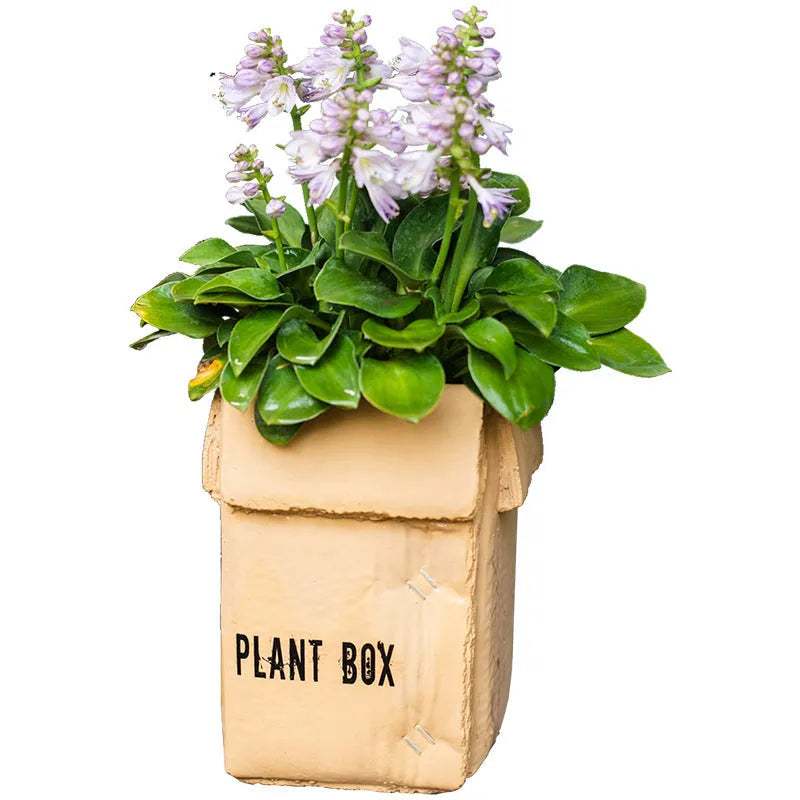 A grey cement flowerpot with a folded paper box design, shown with a drainage hole in its base.