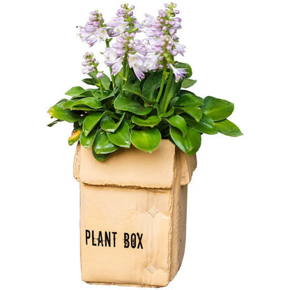 A grey cement flowerpot with a folded paper box design, shown with a drainage hole in its base.