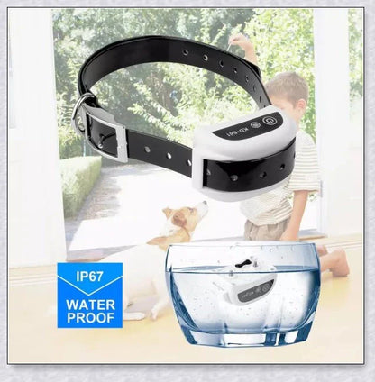 Wireless Electric Dog Fence - Invisible Dog Fence with Shock Collar for safe pet containment and training