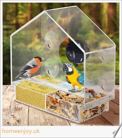 A clear bird feeder with a wireless camera that captures live footage of birds visiting the feeder