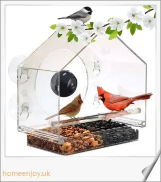 A clear bird feeder with a wireless camera that captures live footage of birds visiting the feeder