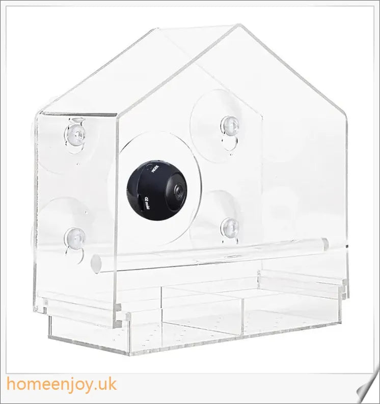 A clear bird feeder with a wireless camera that captures live footage of birds visiting the feeder