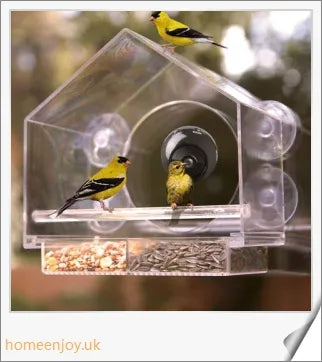 A clear bird feeder with a wireless camera that captures live footage of birds visiting the feeder