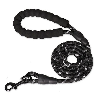 Colourful thick nylon dog leash with vibrant green colour and reinforced stitching for durability and safety