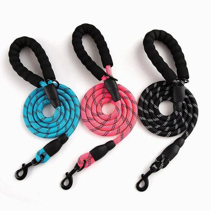 Colourful thick nylon dog leash with vibrant green colour and reinforced stitching for durability and safety