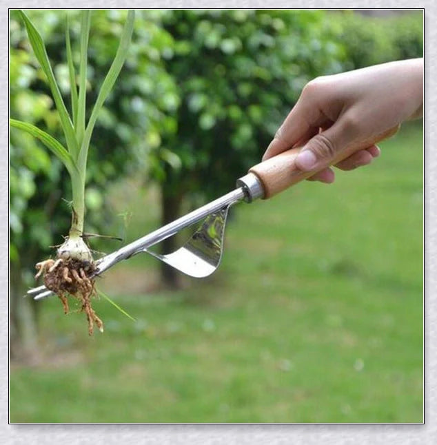 Stainless steel manual weed puller with curved base and sharp forks for efficient weed removal in UK gardens