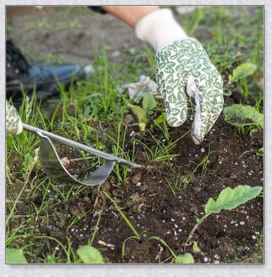 Stainless steel manual weed puller with curved base and sharp forks for efficient weed removal in UK gardens