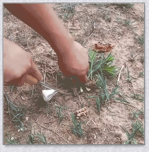 Stainless steel manual weed puller with curved base and sharp forks for efficient weed removal in UK gardens
