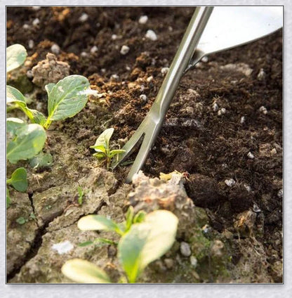 Stainless steel manual weed puller with curved base and sharp forks for efficient weed removal in UK gardens