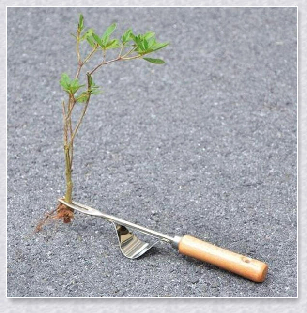 Stainless steel manual weed puller with curved base and sharp forks for efficient weed removal in UK gardens