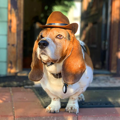 Adjustable cowboy hat for dogs in black, brown, burgundy or coffee colours