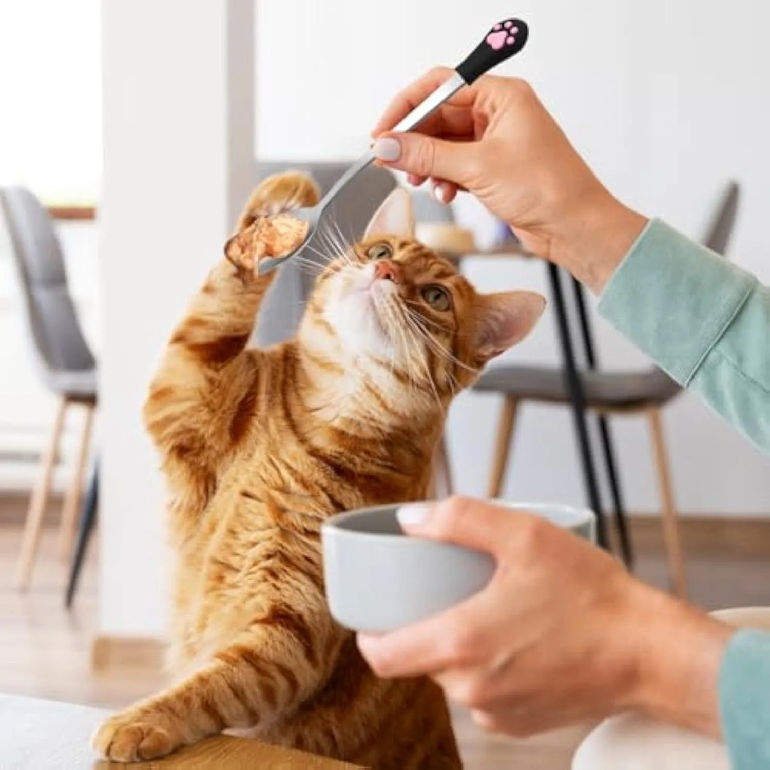 Two pet food spoons with cat paw designs - one white and one black with stainless steel and silicone construction