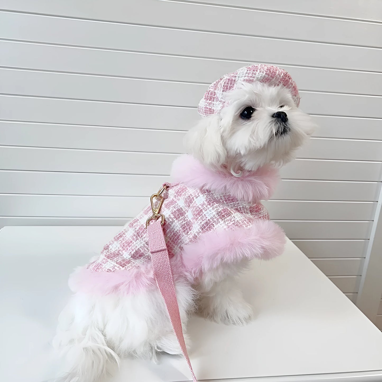Pink cat costume with beret, cape, and hand-holding rope in polyester material