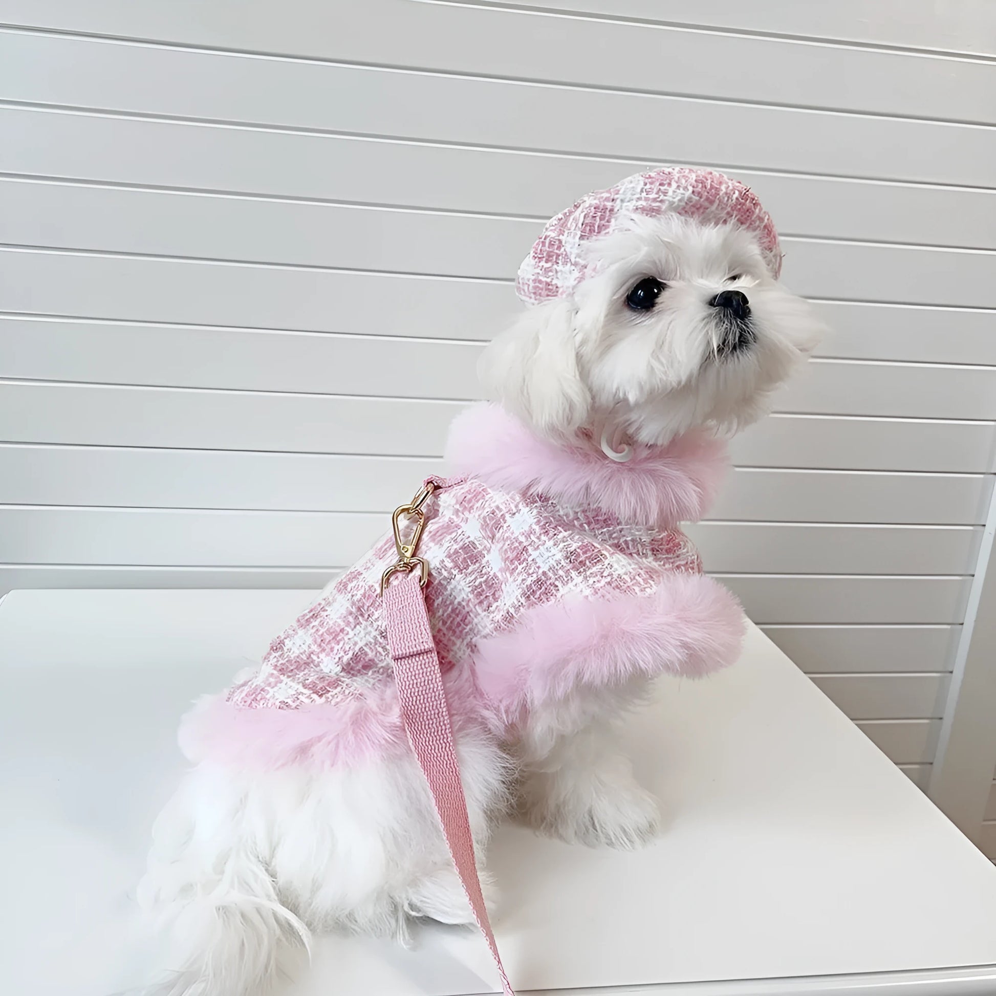 Pink cat costume with beret, cape, and hand-holding rope in polyester material