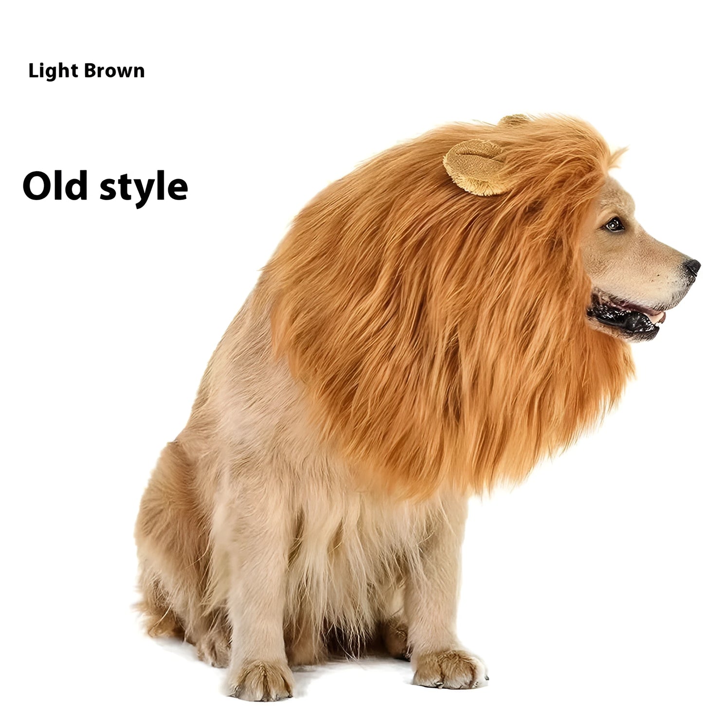 Dog wearing a lion mane headdress costume in light brown with an elastic neckband.
