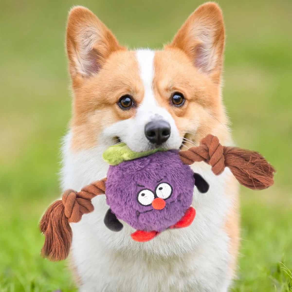 Green and purple plush dog toy with a central rope knot for tugging and chewing.