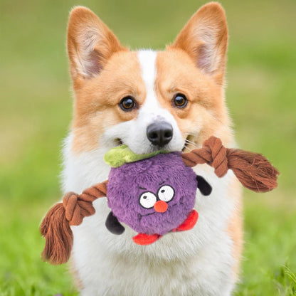 Green and purple plush dog toy with a central rope knot for tugging and chewing.