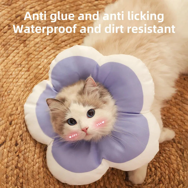 Adjustable cotton cat recovery collar with solar flower design in various colours