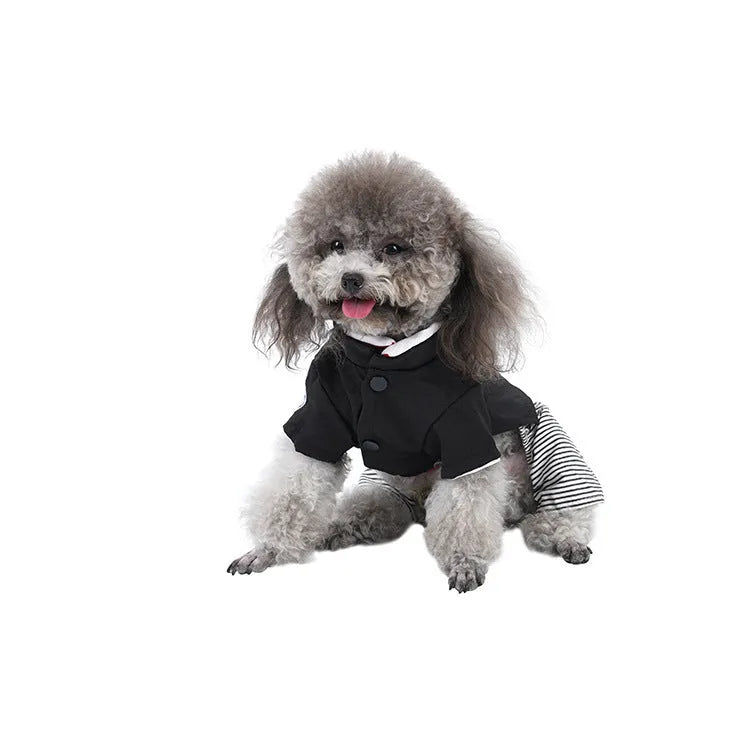 Thin cotton poodle dog clothes for spring and autumn, featuring a choice between skirt style or four-foot pants design in S, M, L, and XL sizes for small to large poodles.