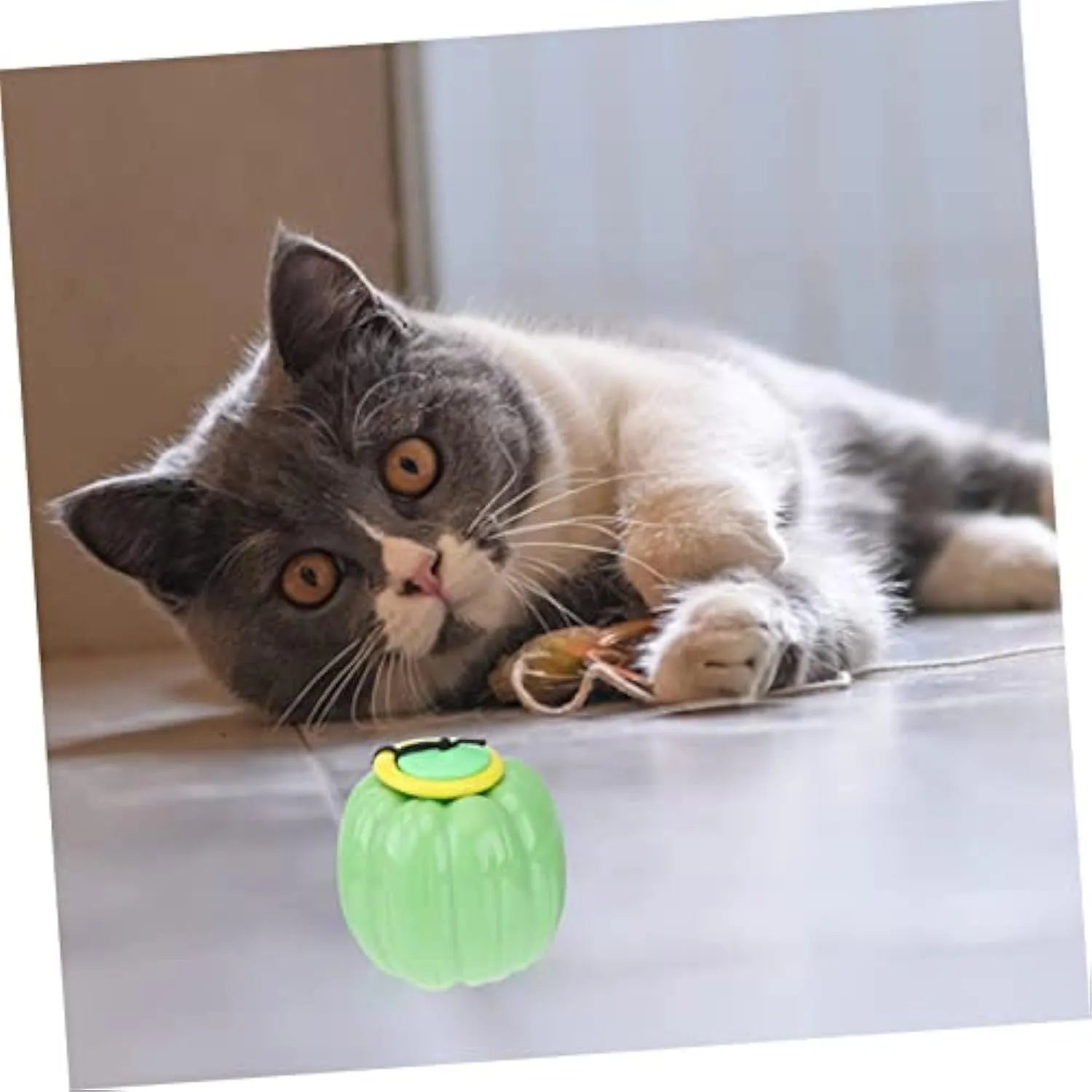 Green, orange, and yellow pumpkin-shaped plastic dog ball with squeaker for small dogs.