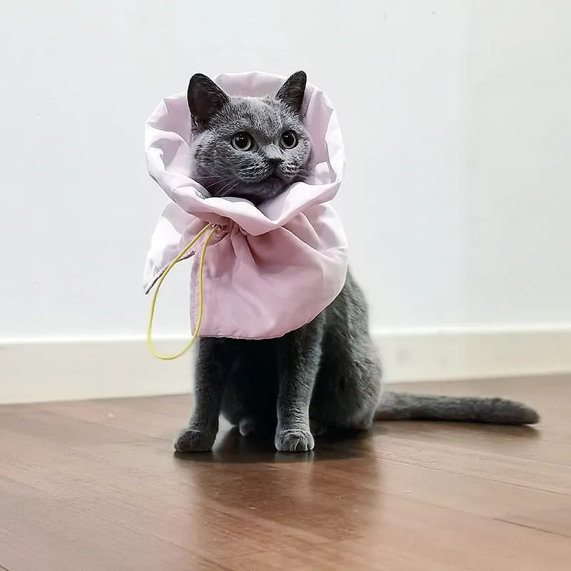 Soft adjustable Elizabethan recovery collar for a cat or small dog in blue, grey, green, or pink.