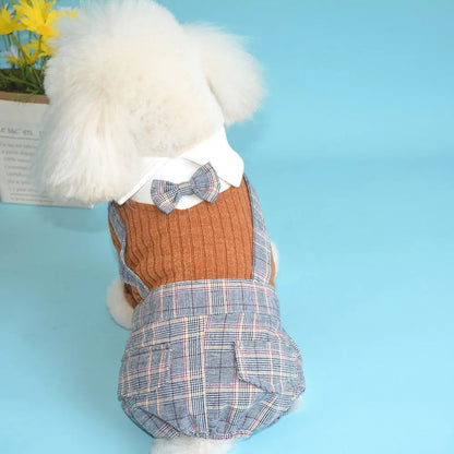 Orange cotton dog shirt for small breed dogs showing front view